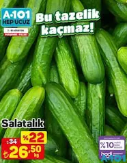 SALATALIK KG fiyat ve kampanya bilgisi
